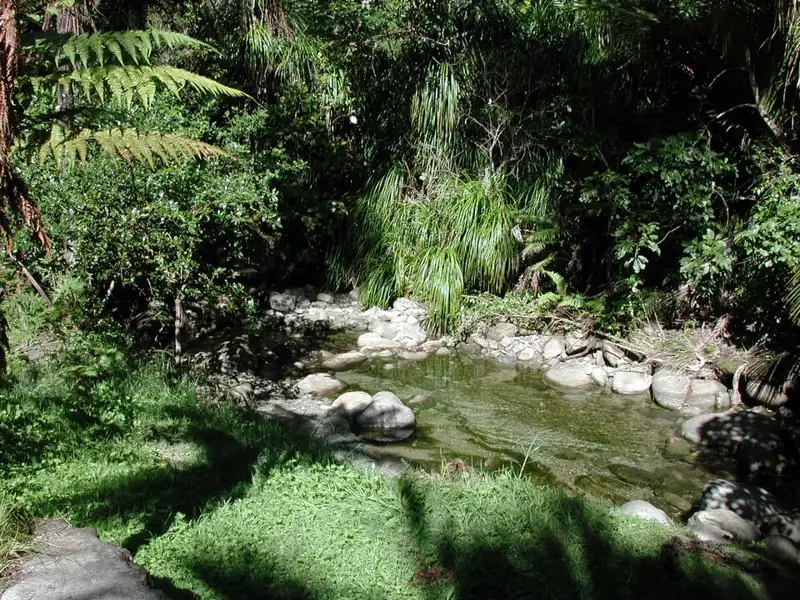 Nikau Pools