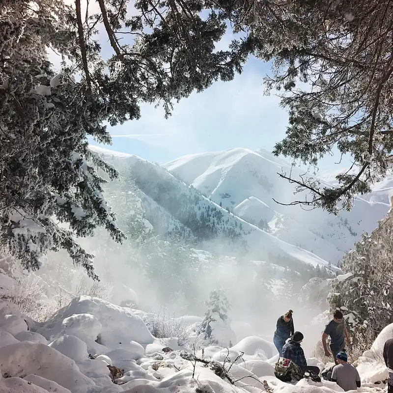 Goldbug Hot Springs