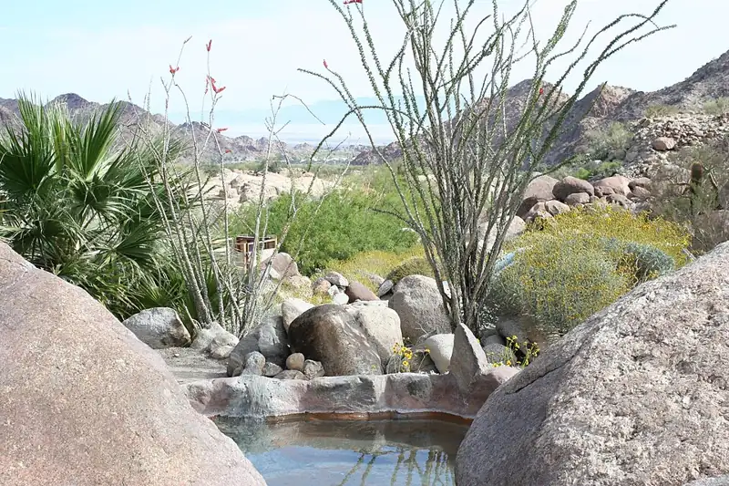 Guadalupe Canyon Hot Springs
